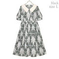 Arabesque Front Button Dress
