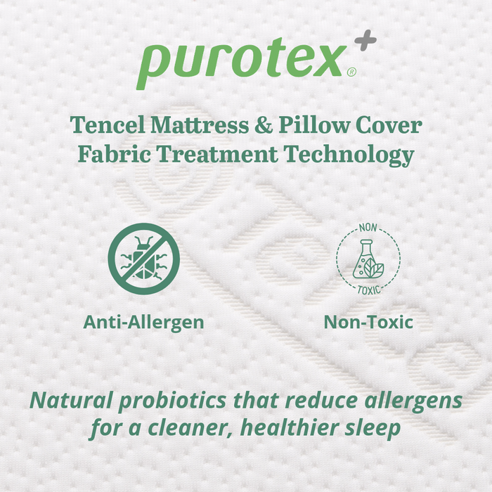 Infographic showcasing Purotex+ fabric treatment for Tencel pillow covers. Key benefits shown are 'Anti-Allergen' and 'Non-Toxic,' with text explaining it uses natural probiotics to reduce allergens for a cleaner, healthier sleep.