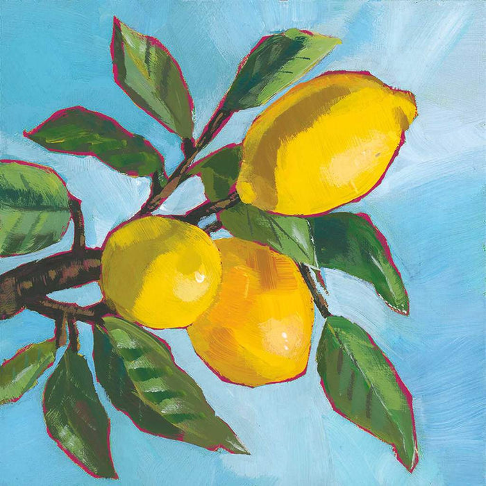 Lemon Musée