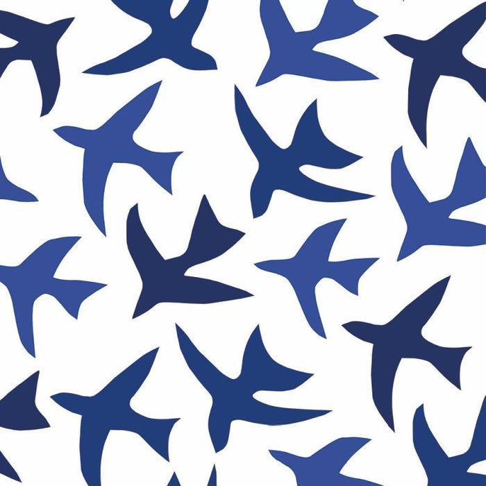 Maritime Birds