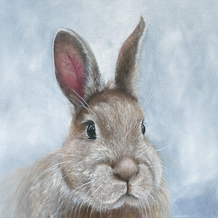 Niblet the Bunny