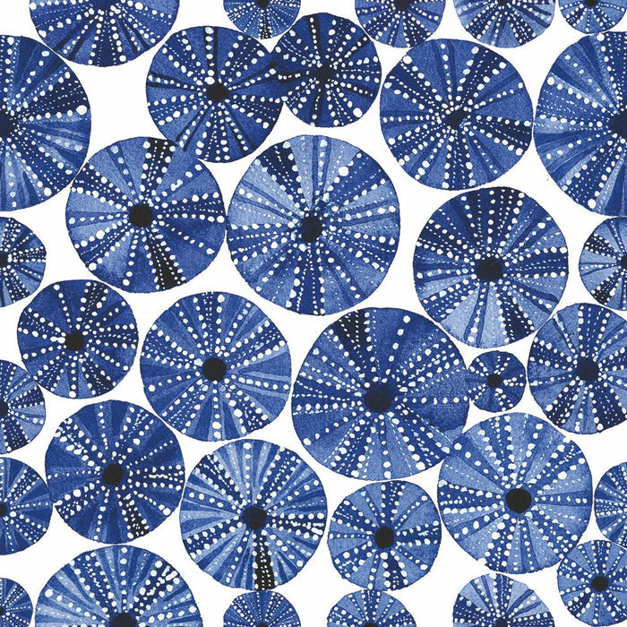 Ocean Urchins