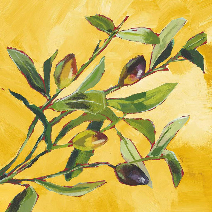 Olive Musee