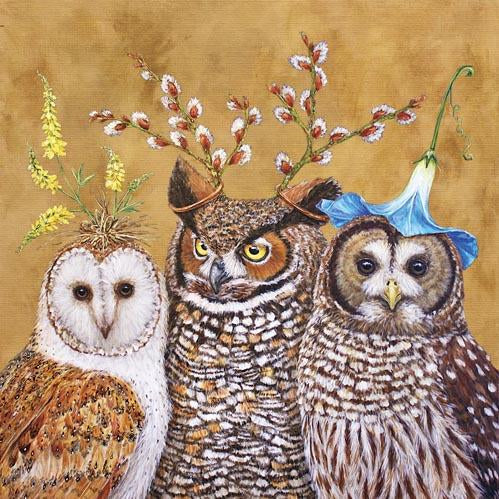 Owl Family