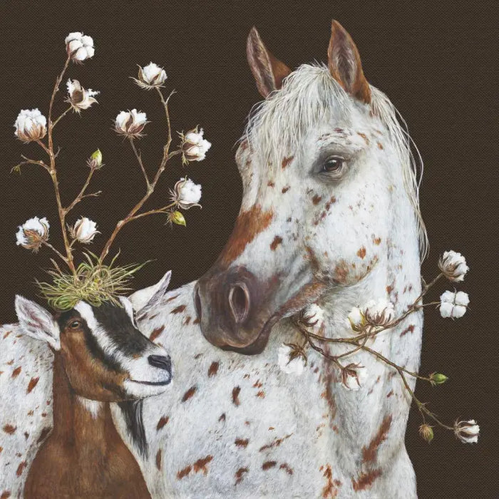 Neigh-Bors