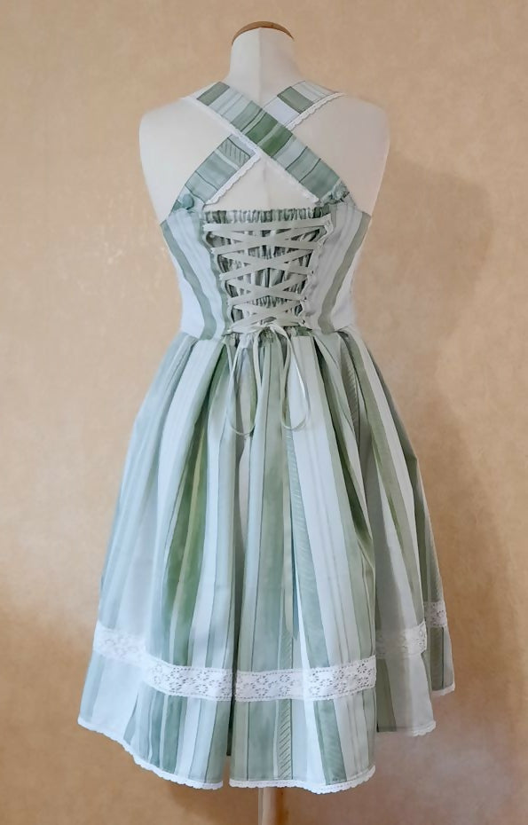 Country Sage Jumperskirt