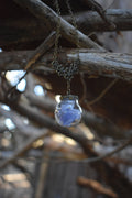 Dried Blue Flower Terrarium Globe Necklace - Lolita Collective