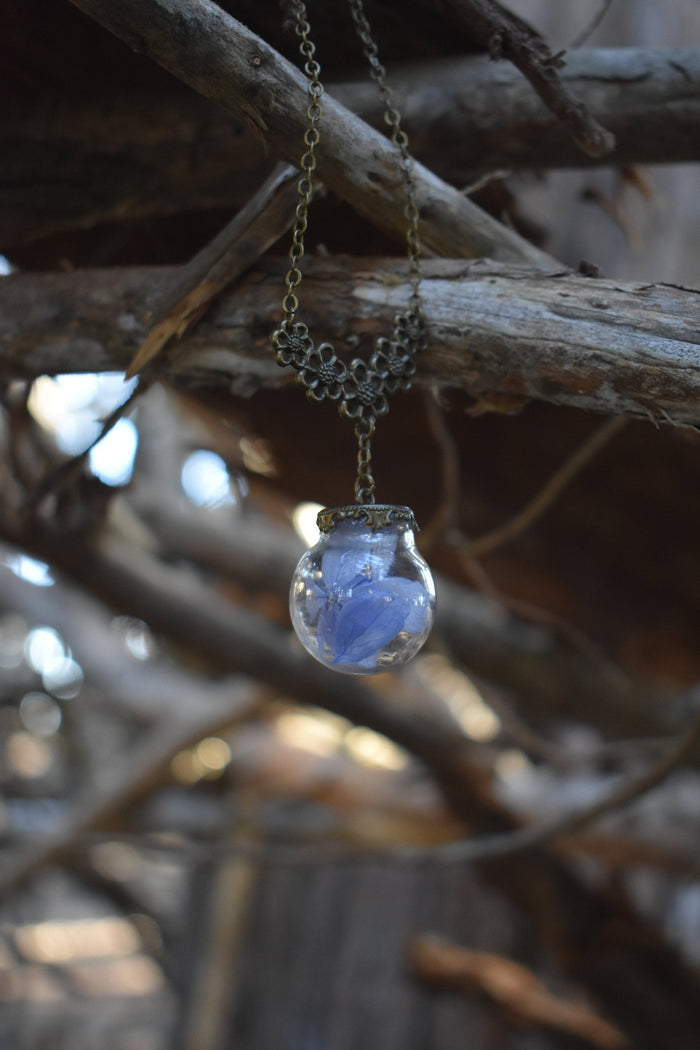 Dried Blue Flower Terrarium Globe Necklace - Lolita Collective