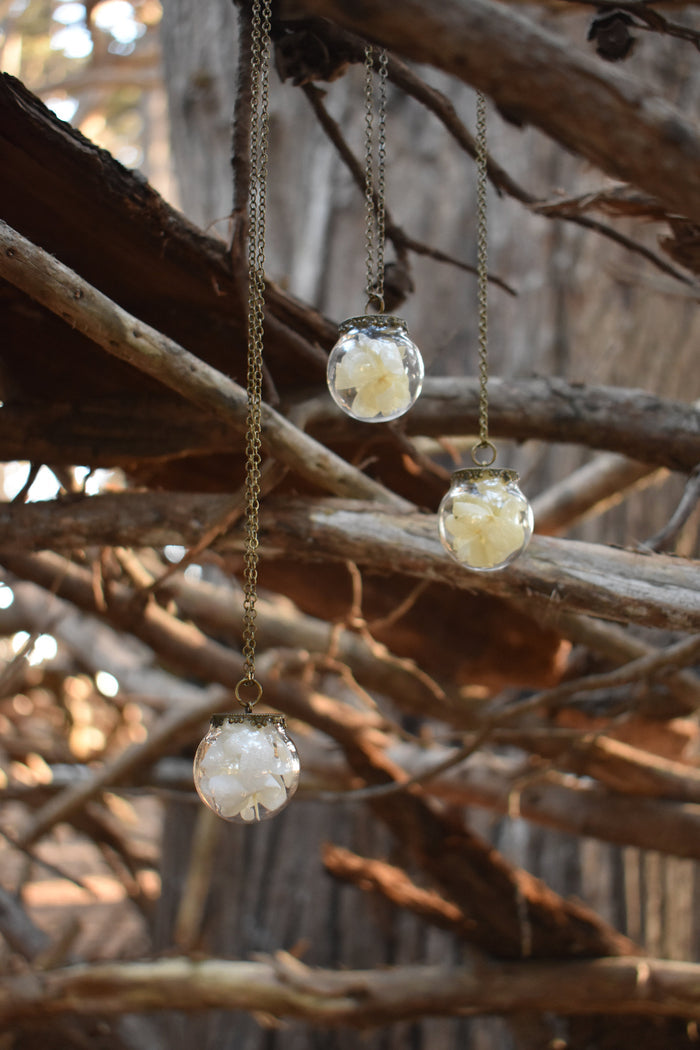 Dried Flower Petal Globe Necklace- 3 styles - Lolita Collective