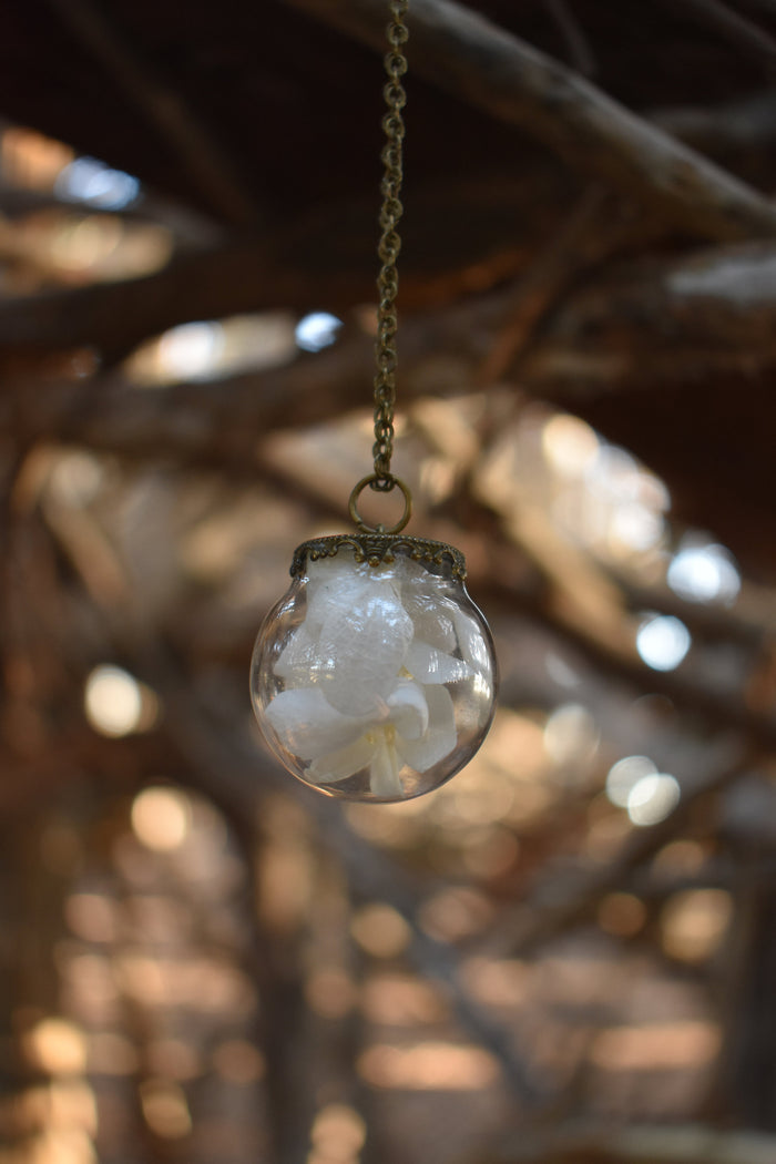 Dried Flower Petal Globe Necklace- 3 styles - Lolita Collective