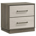 Edmondson Grey Oak 2-Drawer Nightstand with Almond Drawer Fronts, Wood Finish, Modern Minimalist Design