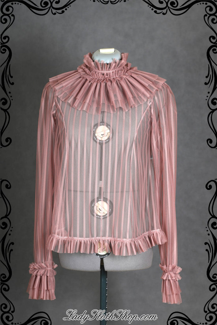 Elegant Mesh Blouse