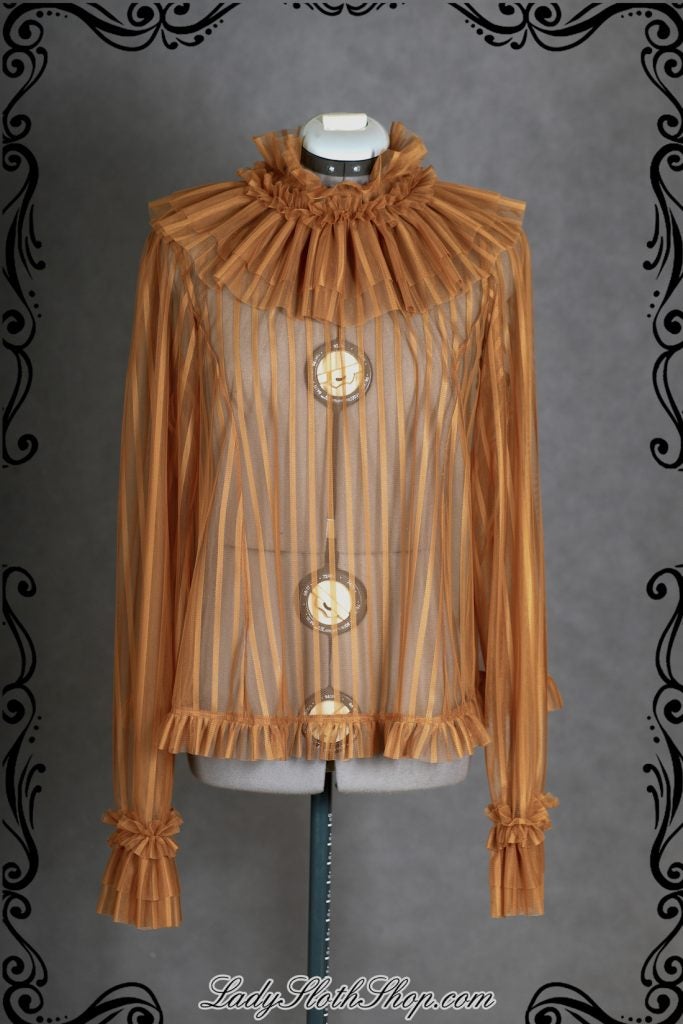 Elegant Mesh Blouse