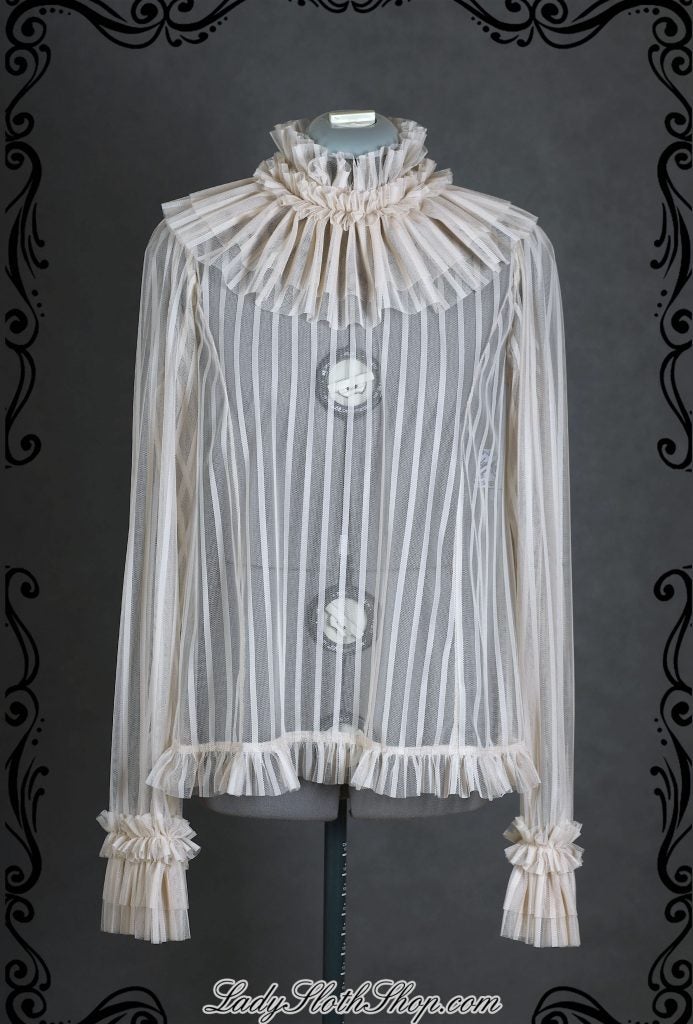 Elegant Mesh Blouse