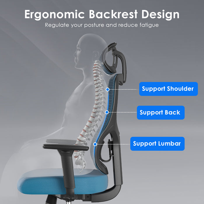 24463777