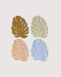 Mixed / Tropic Monstera