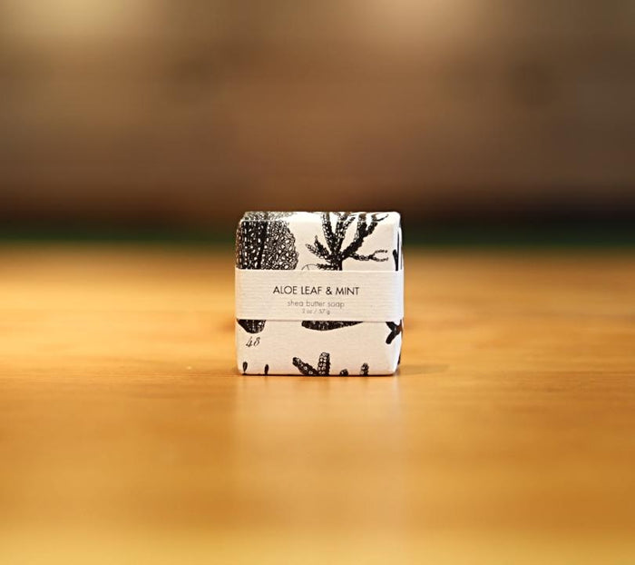 2.75 oz / Aloe Leaf