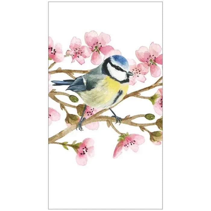 Oiseau Printemps
