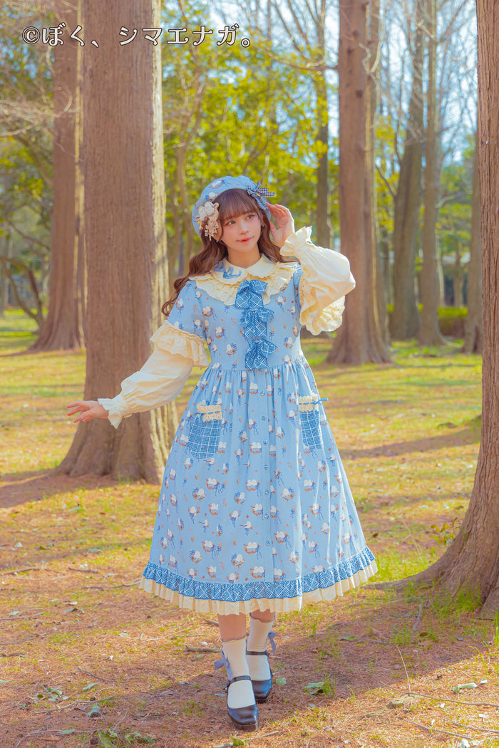 I'm a long-tailed tit. x HoshibakoWorks Collaboration Front Button Long Dress