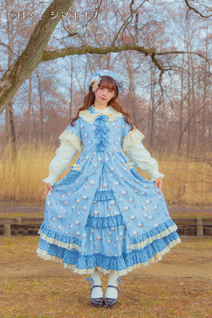 I'm a long-tailed tit. x HoshibakoWorks Collaboration Front Button Long Dress