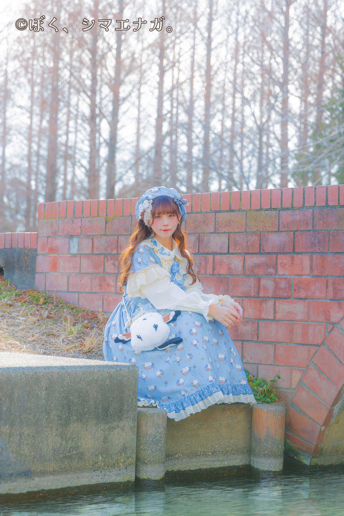 I'm a long-tailed tit. x HoshibakoWorks Collaboration Front Button Long Dress