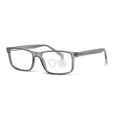 Ice Grey / +1.00