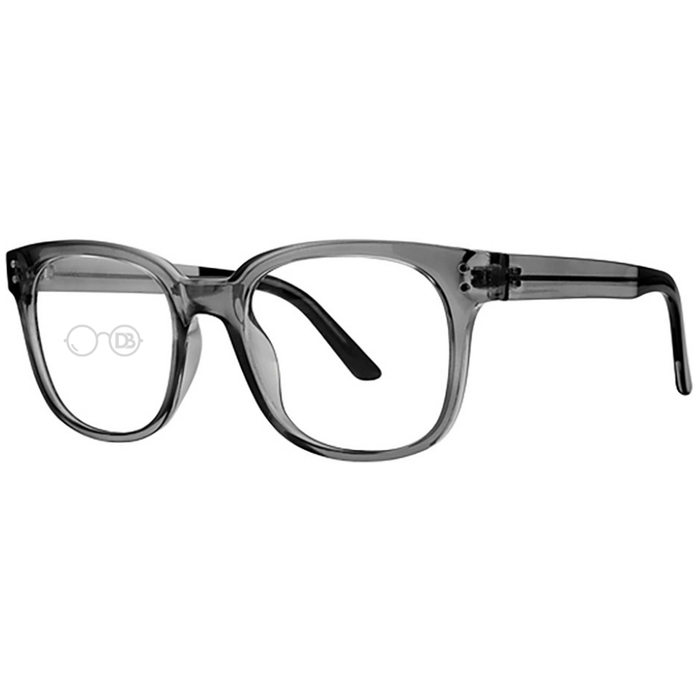 DebSpecs Legacy SI Color Smoke eyewear
