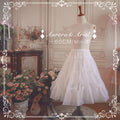 Mini Long Organza Petticoat