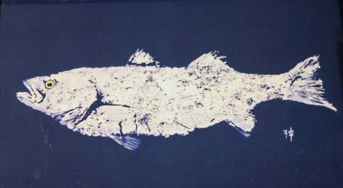 Fish on Navy