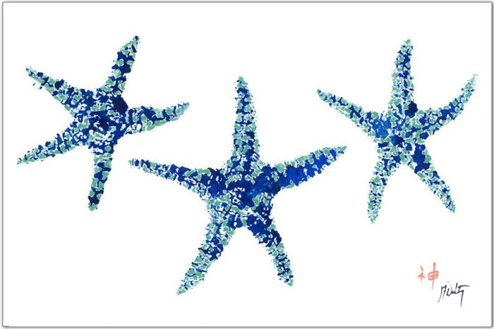 Starfish on White