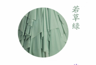 One size / Light Green / Lapel Collar Only