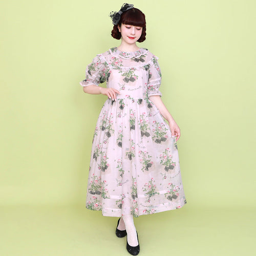"Rose Card" Onepiece Dress