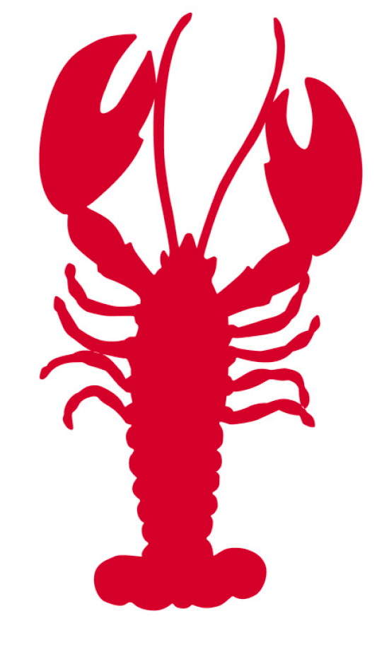 Lobster / Large