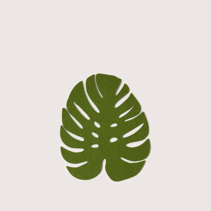 Monstera / Large