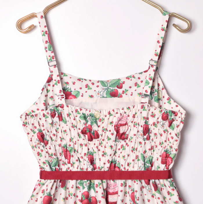 Strawberry Jam Jumperskirt Dress