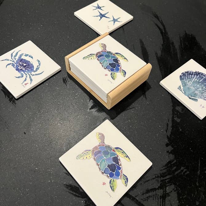 Variety Coaster Set